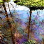 lagares chapapote 11