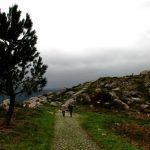 vilanova cervo 29bajo