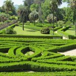 15-05-25CastrelosJardn_07