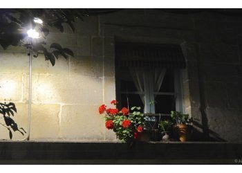 La noche de las flores