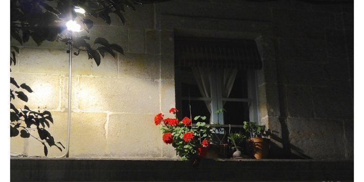 La noche de las flores