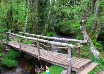 La senda local de Zamáns, preparada por la primavera