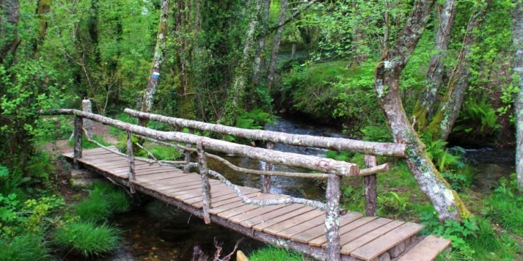 La senda local de Zamáns, preparada por la primavera