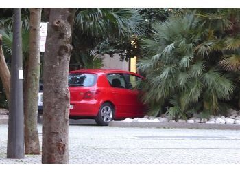 Sin respeto a la ley