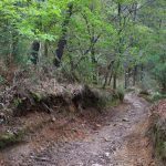 sendeiro zamans 103 Copy