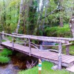 sendeiro zamans 11 Copy