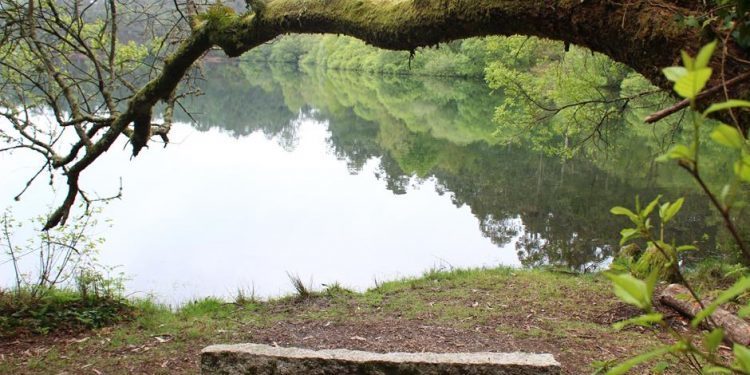 sendeiro zamans 138 Copy