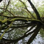 sendeiro zamans 146 Copy