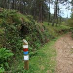 sendeiro zamans 207 Copy