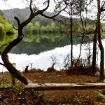 sendeiro zamans 5 Copy