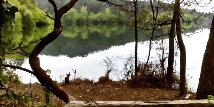 sendeiro zamans 5 Copy