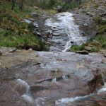 sendeiro zamans 50 Copy