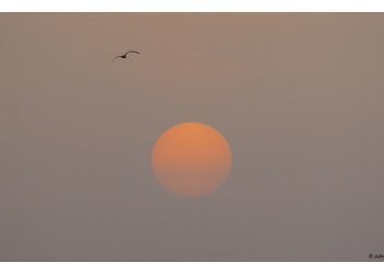 Por fin alumbra el sol