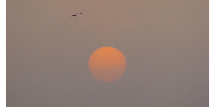 Por fin alumbra el sol