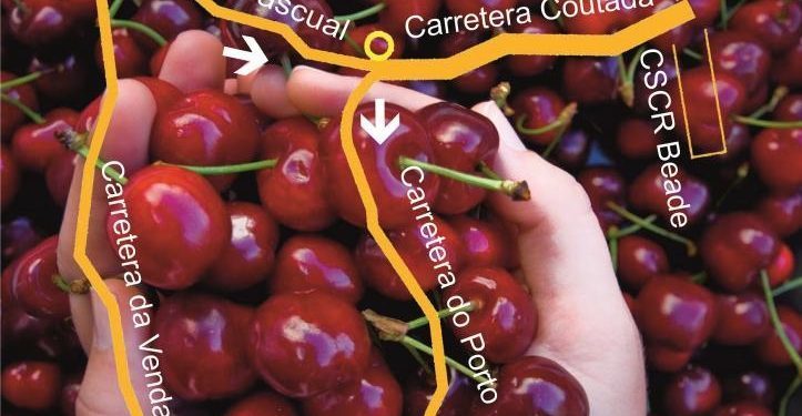 La Carreira da Cereixa se estrena este domingo en el circuito de carreras populares