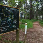 sendeiro bembrive 111 Copy