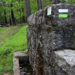 sendeiro bembrive 113 Copy