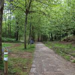 sendeiro bembrive 121 Copy