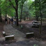 sendeiro bembrive 122 Copy