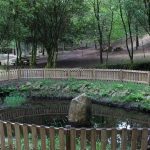 sendeiro bembrive 133 Copy