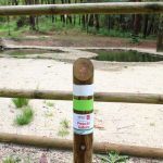 sendeiro bembrive 3 Copy