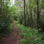 sendeiro bembrive 32 Copy