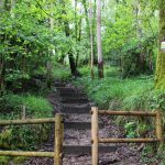 sendeiro bembrive 66 Copy