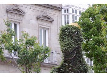 El Dinoseto coronado