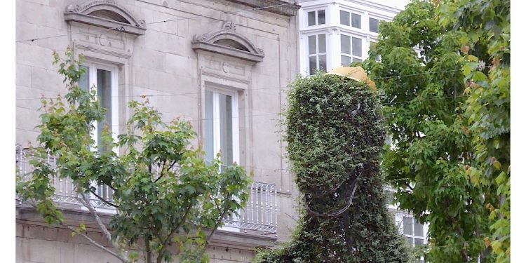 El Dinoseto coronado