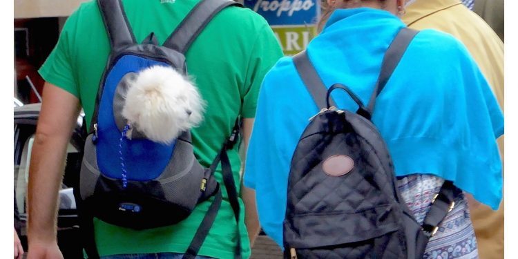 Un perro en la mochila