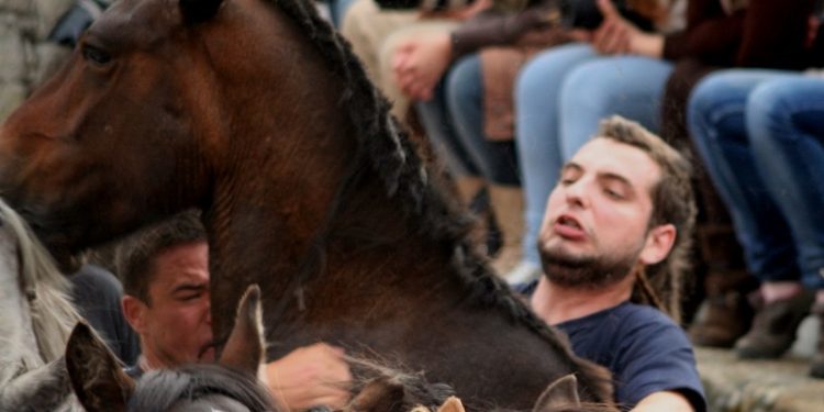 Tradición ancestral y fiesta popular alrededor del caballo