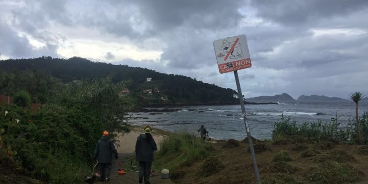 Comienza la reparación del paseo de Patos dañado por los temporales