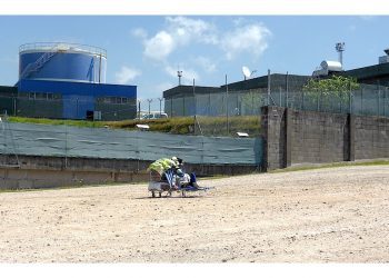 Un alto en el camino