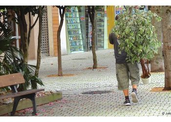 Con la naturaleza a cuestas