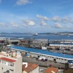 monarch nueva cuatro