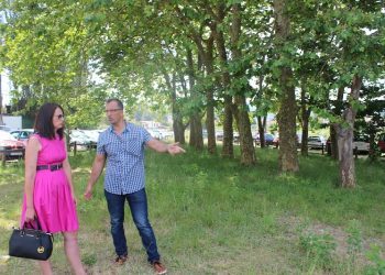 Merendero, parque infantil y zona relax para la playa Ladeira