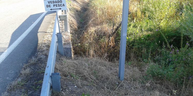 Denuncian o uso de herbicidas que afectan a ríos en Salvaterra