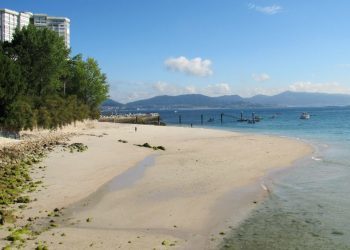 Toralla y Canto da Area serán las playas viguesas para perros