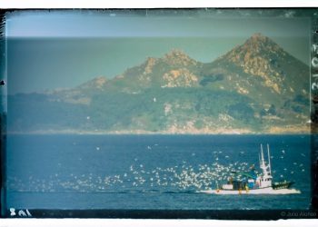 La estela del pescado