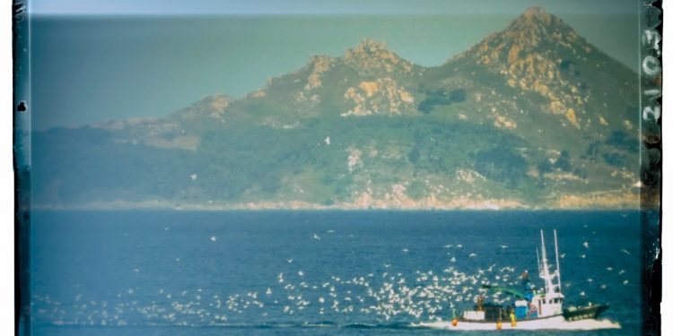 La estela del pescado