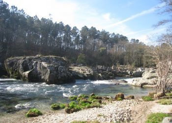 Complicado rescate de un hombre que cayó al río Tea