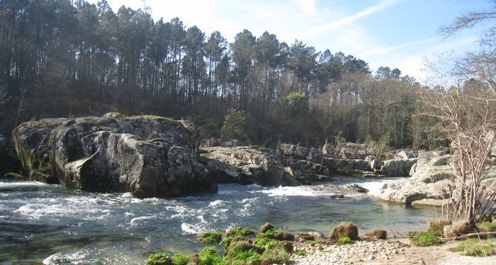 Complicado rescate de un hombre que cayó al río Tea