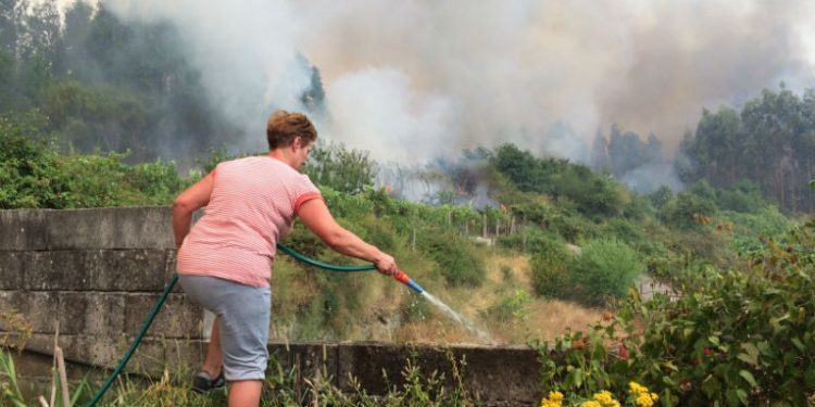 El incendio de Arbo salta a As Neves tras arrasar más de 500 hectáreas