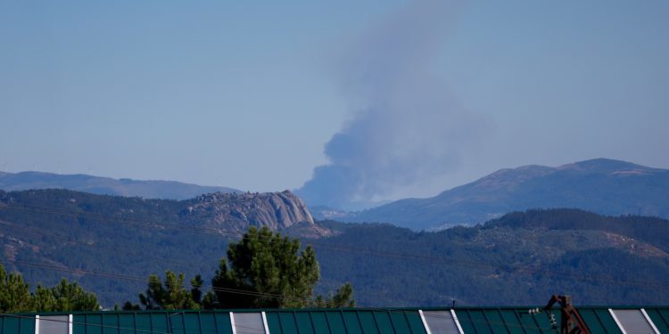 El calor, el mejor aliado del fuego en el norte de Portugal