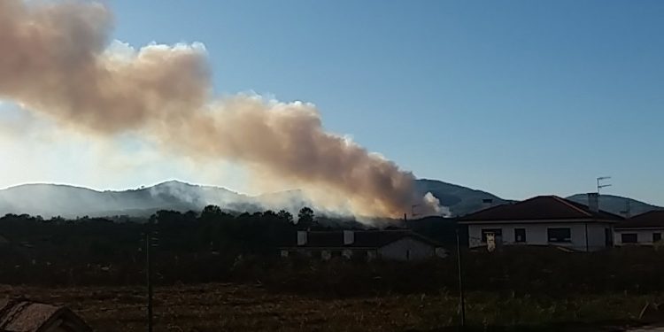 Declarado un incendio forestal cerca de viviendas en Ribadetea