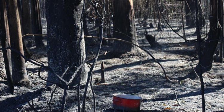 «Mientras el fuego sea negocio, seguirán los incendios»