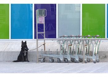 Abandonado por un viaje