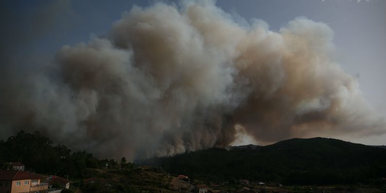 «La tierra arde por dentro, pero no me voy a ir, me quedo a defender mi casa»