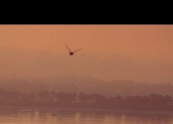 Cine y arte creados por mujeres, en la nueva temporada del Marco