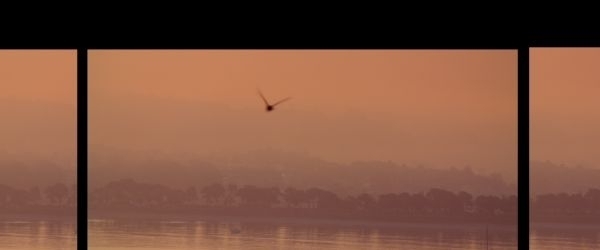 Cine y arte creados por mujeres, en la nueva temporada del Marco